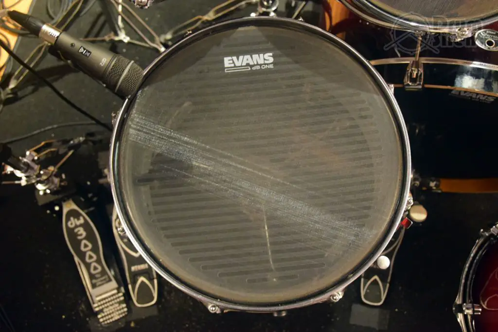 Evans dB One Snare Head From Top