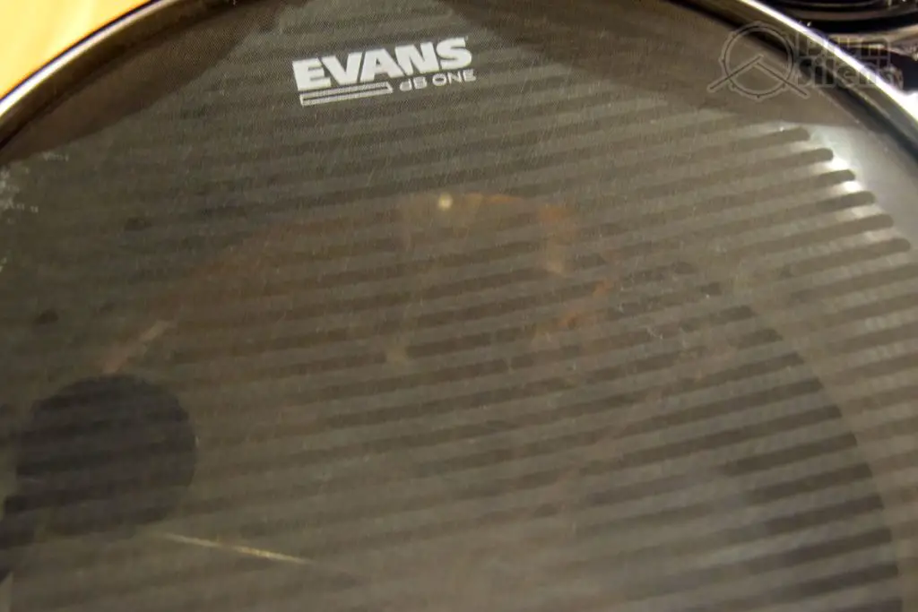 Evans dB One Snare Head Snare Feature Closeup