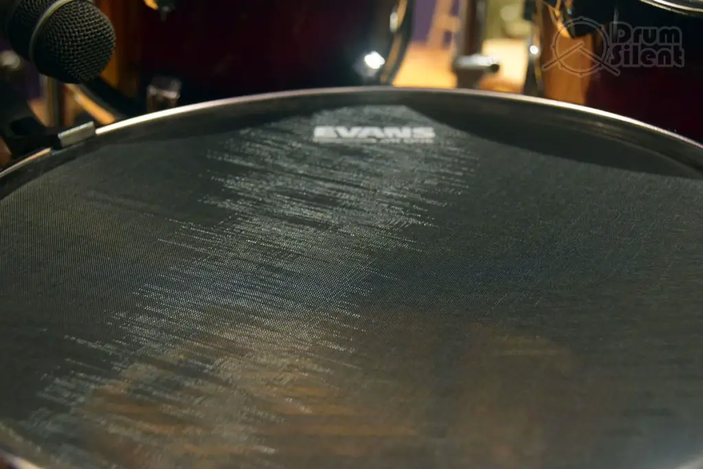 Evans dB One Snare Surface Closeup